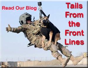 Tails From the Front Lines Blog